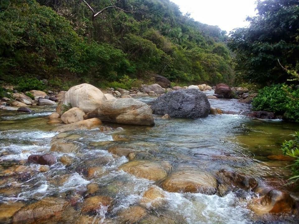 Casa Rio Cuale And River Retreat Пуерто Валярта Екстериор снимка