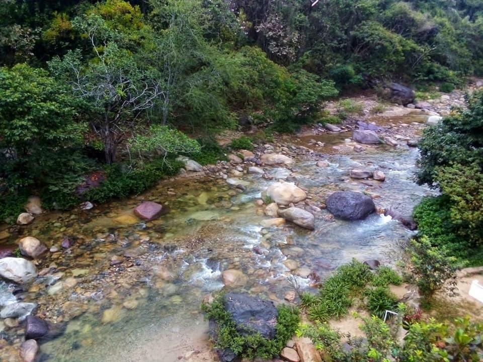 Casa Rio Cuale And River Retreat Пуерто Валярта Екстериор снимка