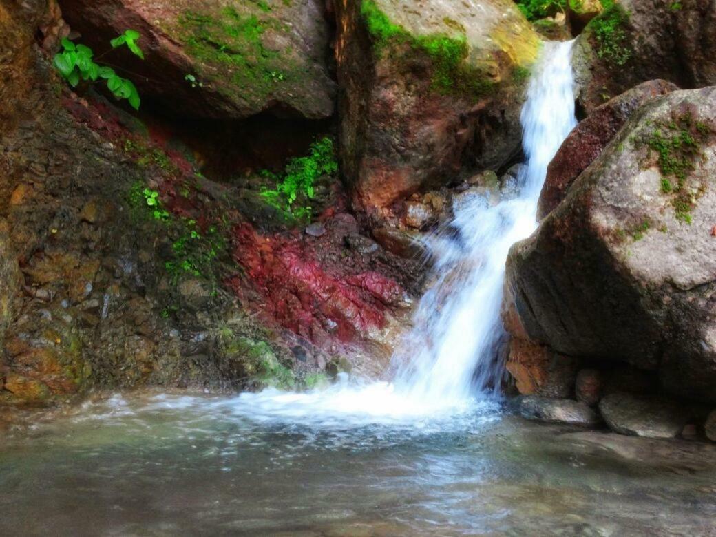 Casa Rio Cuale And River Retreat Пуерто Валярта Екстериор снимка